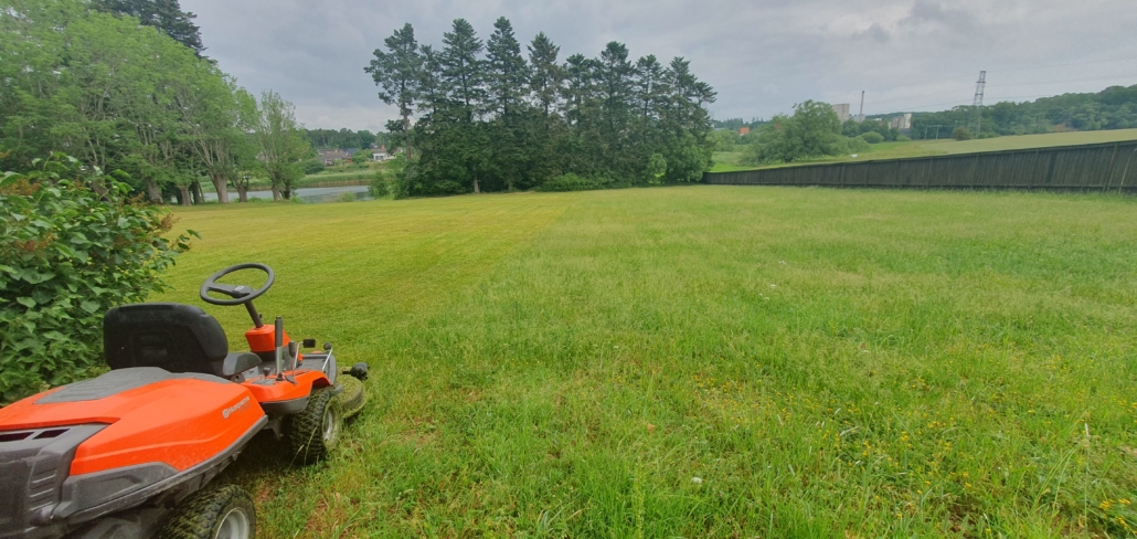 20230619_093608 Gräsklippning av stor yta
