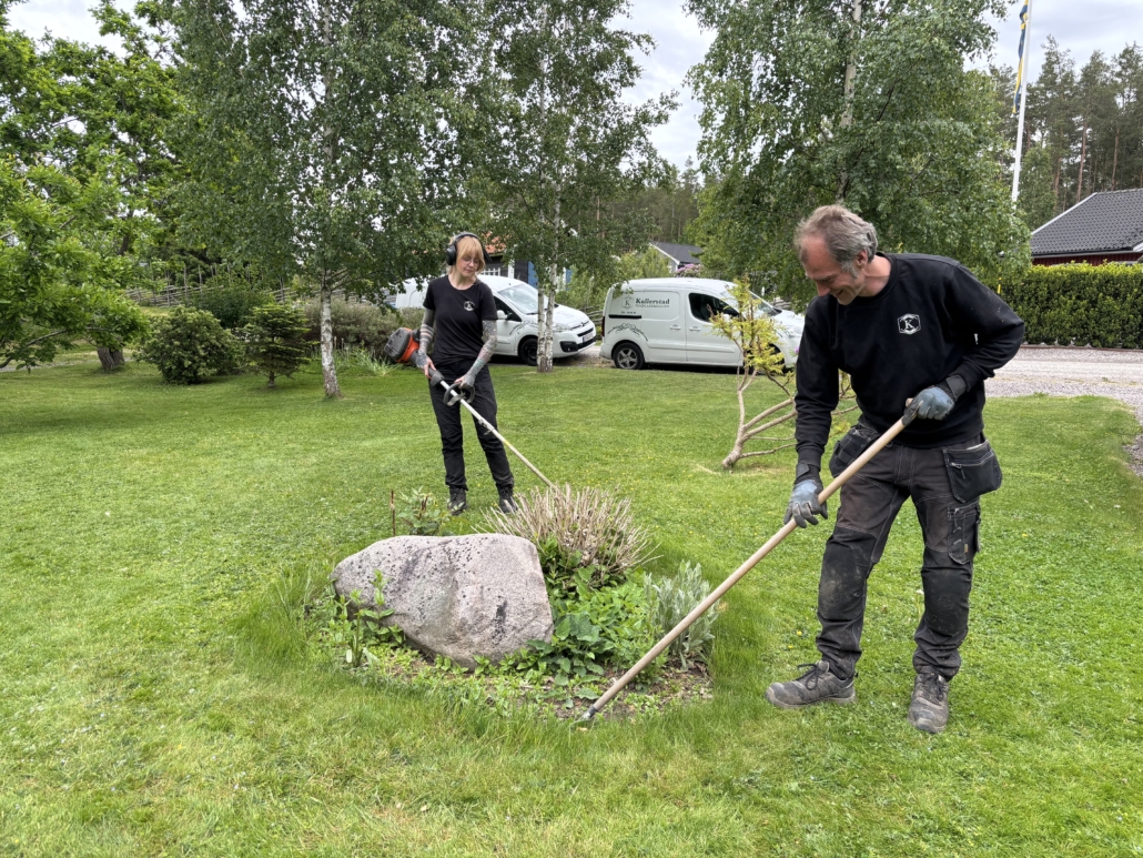Trädgårdsskötsel med trimning och ogräsrensning Medarbetare från Kullerstad Trädgård & Design trimmar gräs och rensar ogräs med skyffeljärn i Norrköping